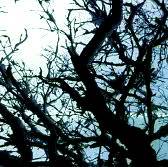 The Choir of Vengeance